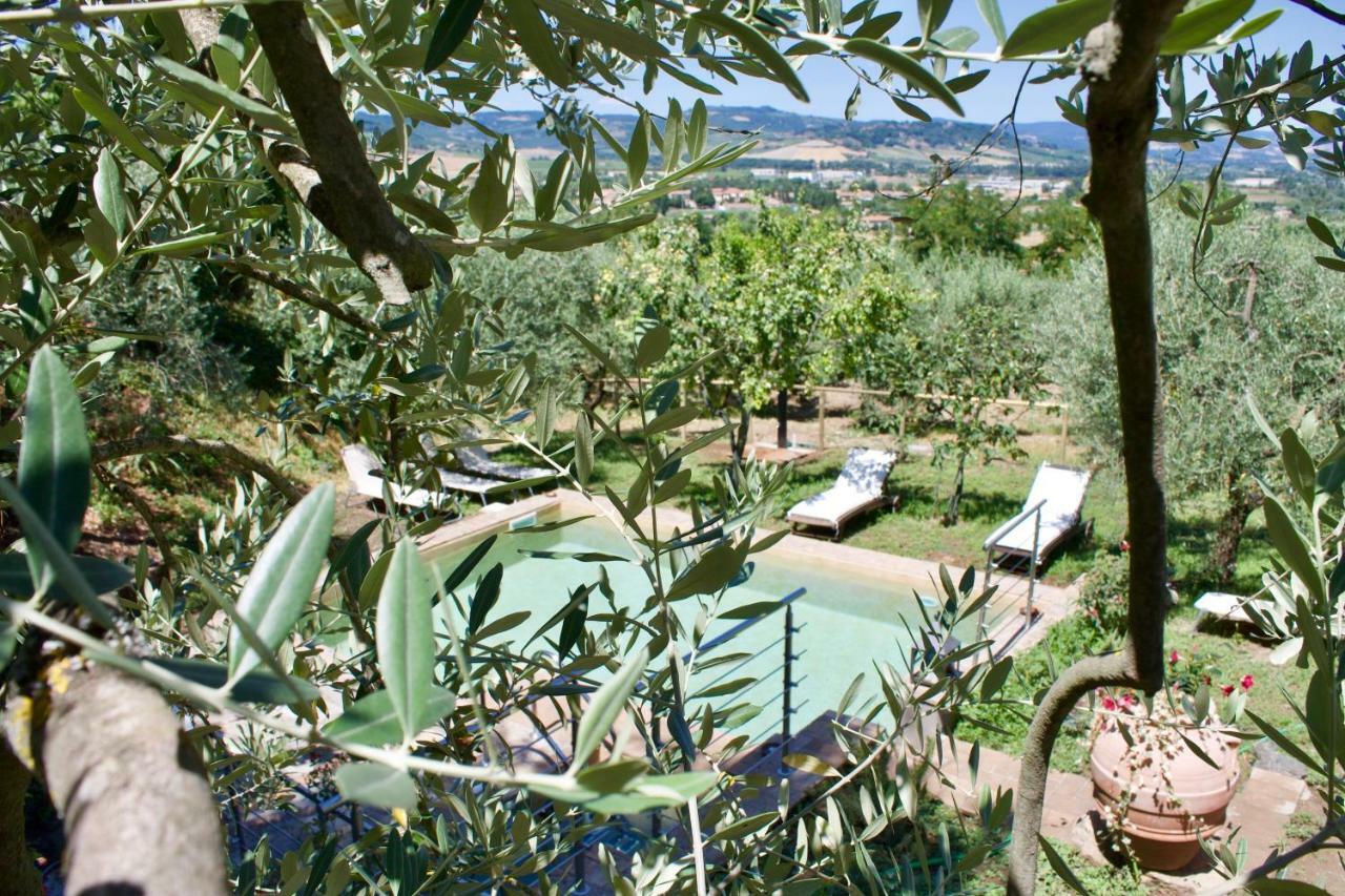 Agriturismo Podere Pescara Orvieto Ngoại thất bức ảnh